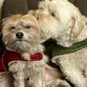 Meet your Posher, Bia